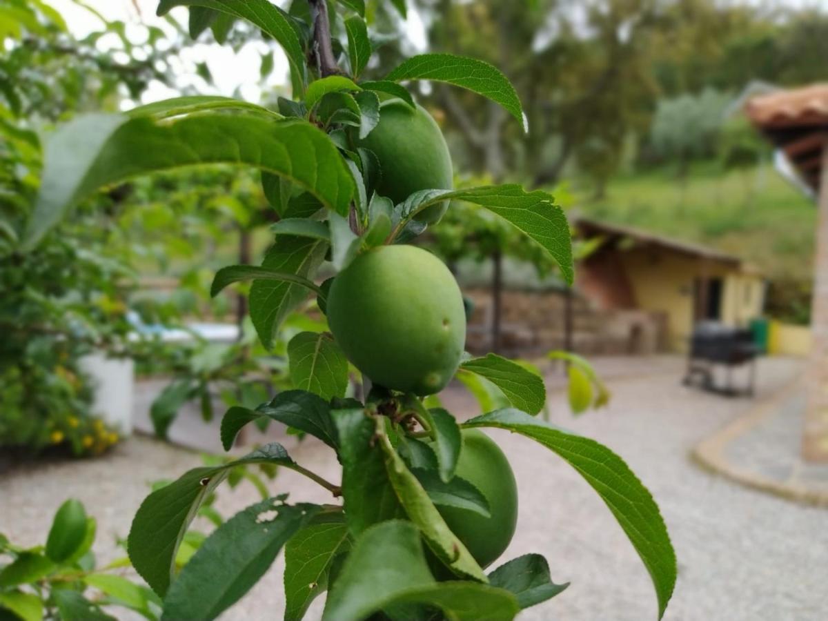 Casa Rural El Bonito Cazalla de la Sierra Bagian luar foto