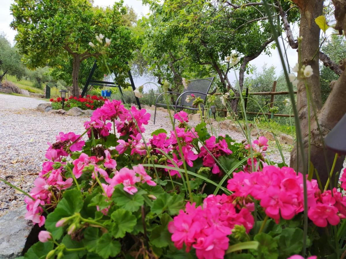Casa Rural El Bonito Cazalla de la Sierra Bagian luar foto